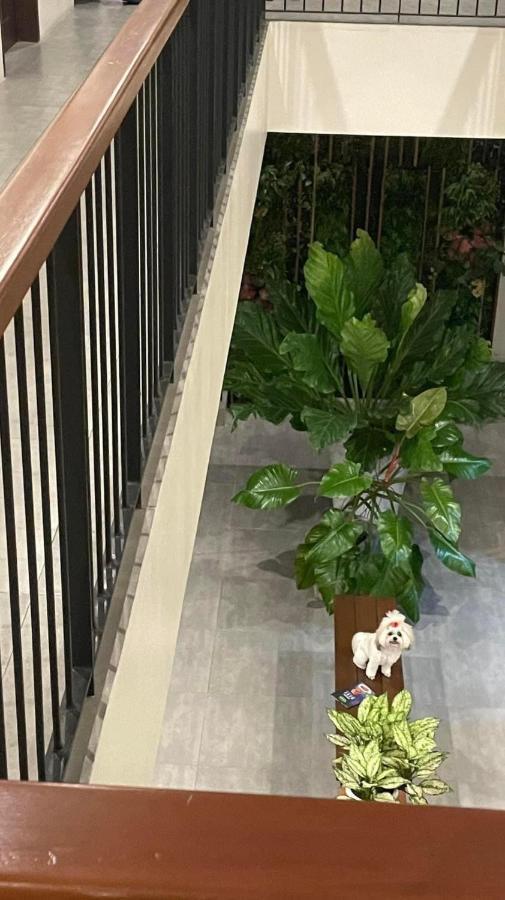A&E Apartelle Bacolod Esterno foto